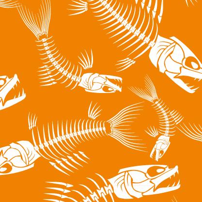 Orange Fish Skeleton