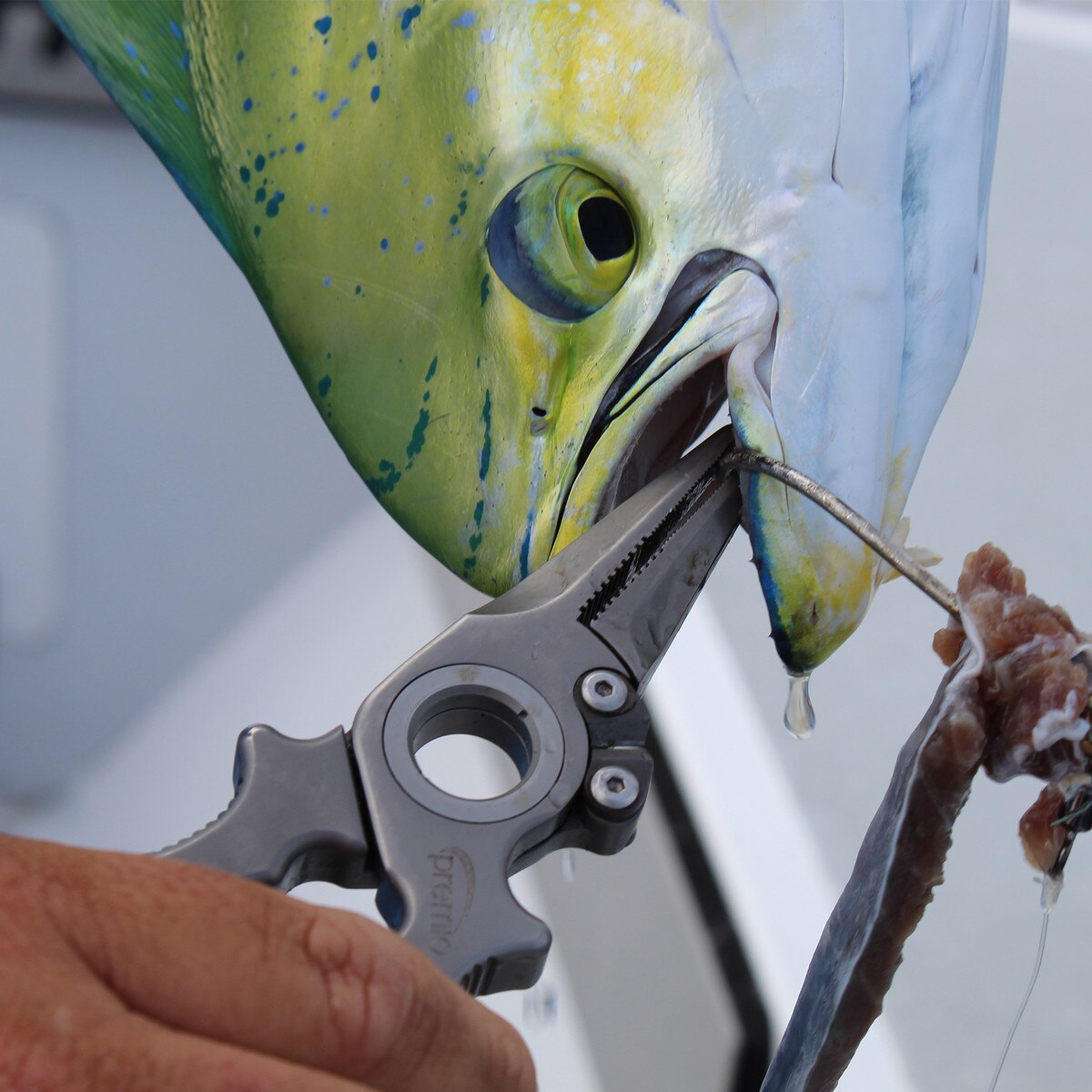 ceiling fishing pole clips 6-Rod Fishing Pole Storage Rack  Rush Creek Creations
